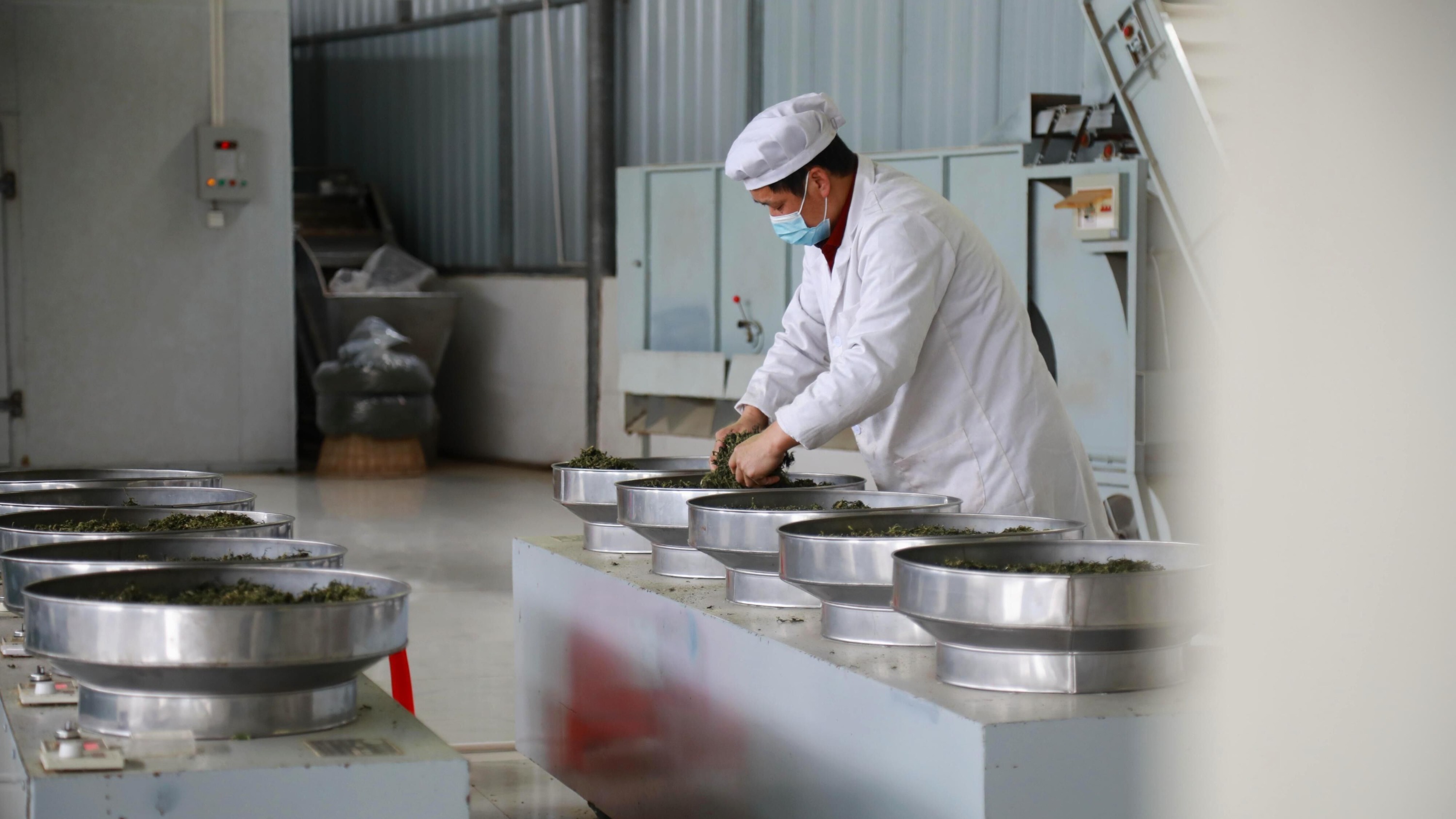 的第一时间,就乘车来到了位于独山县上司镇上司村的一家茶叶加工企业