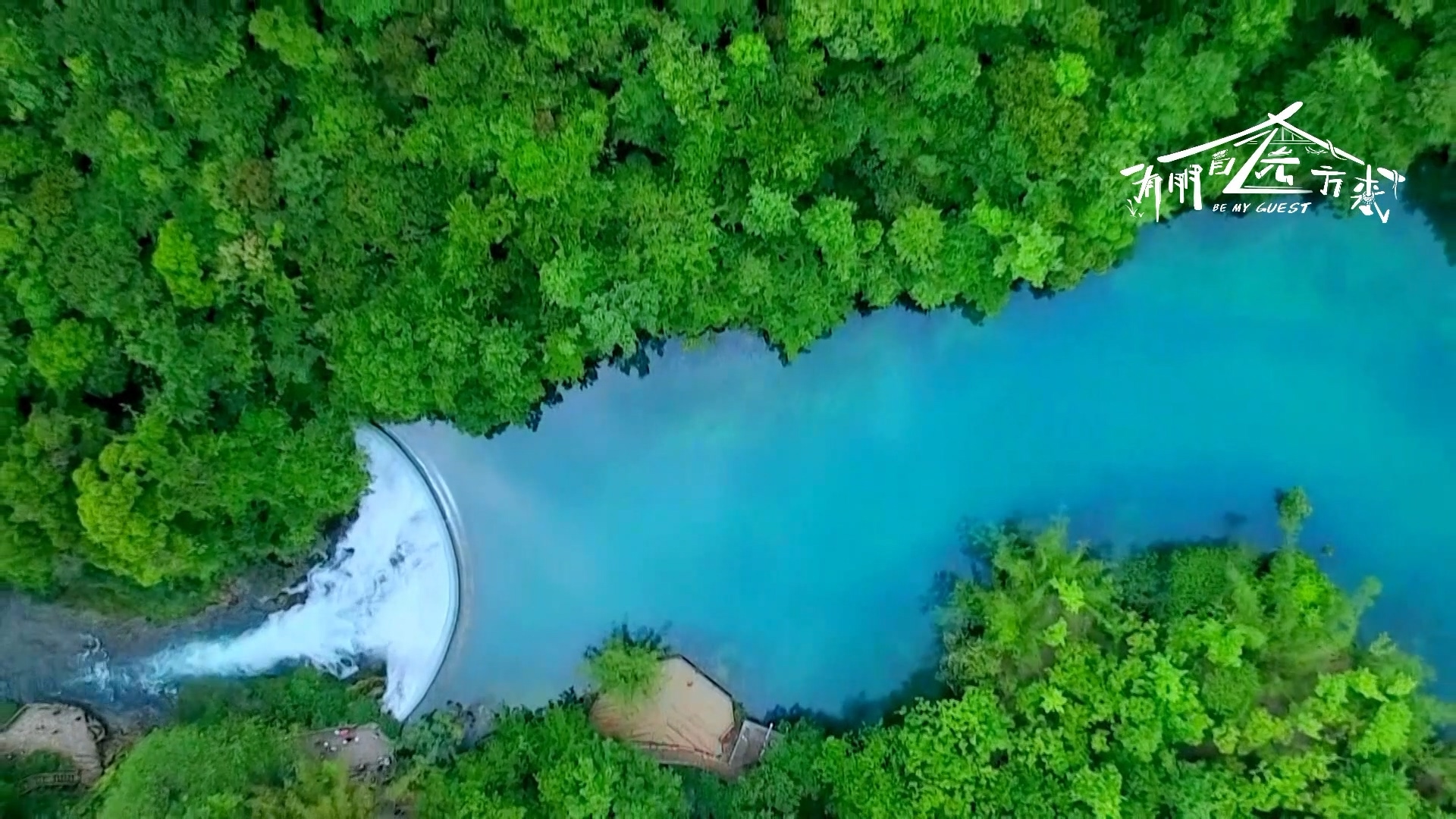 Guizhou Echo | 《有朋自远方来》邀你来茂兰沉浸式吸氧！再看看“地球腰带上的绿宝石”到底什么样！
