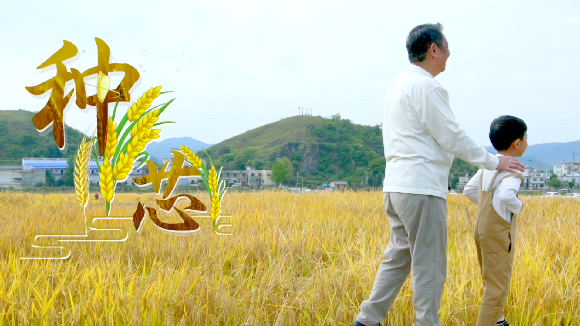 《种芯》 | 社会主义核心价值观主题短视频