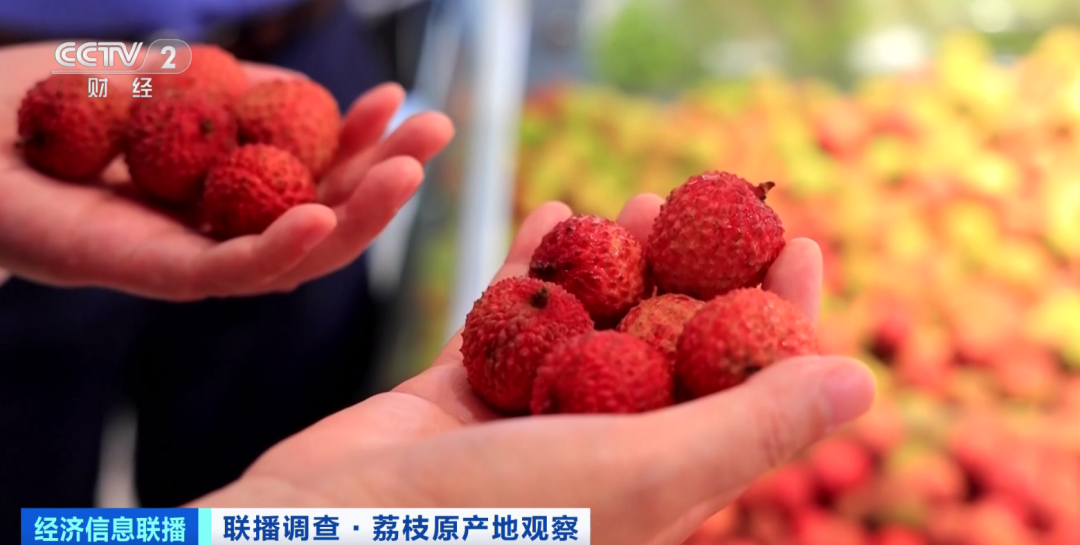 大降价!你爱吃的它,每斤价格已跌至3元!