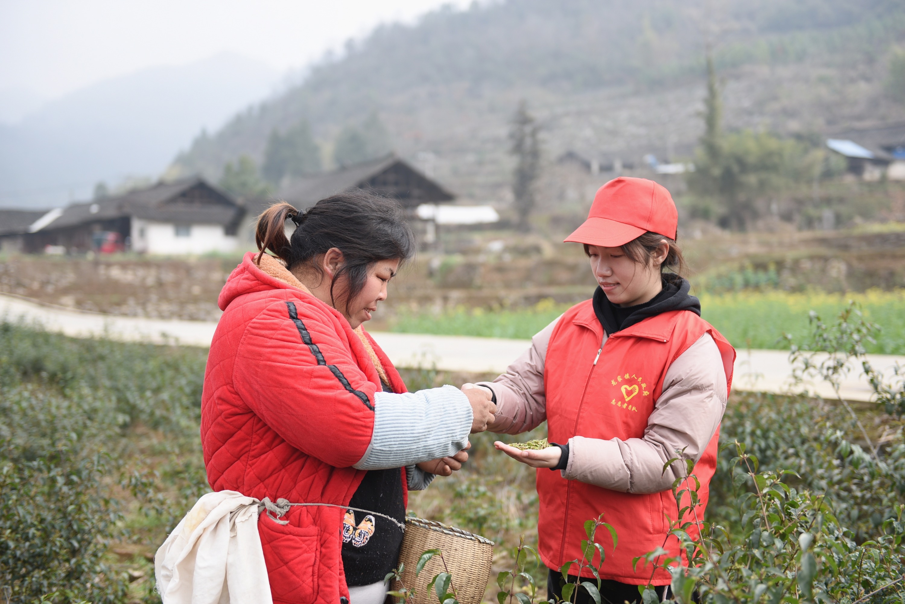 的志愿者之路,让我有在"困难面前逞英雄""过了一山再登一峰"的干劲