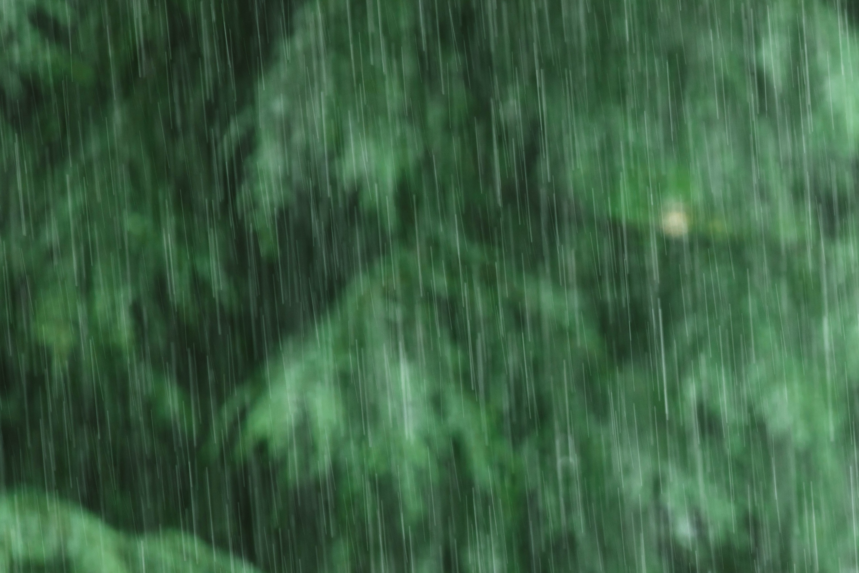 部分地区温度降幅可达10℃以上 厚衣服先别着急收起来