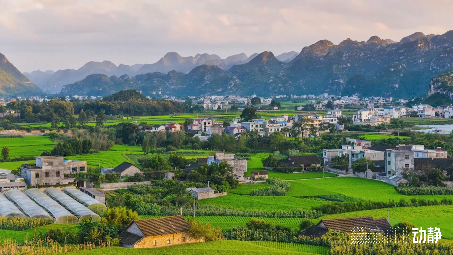 被考察团成员抢着加好友这个农业大脑有点意思