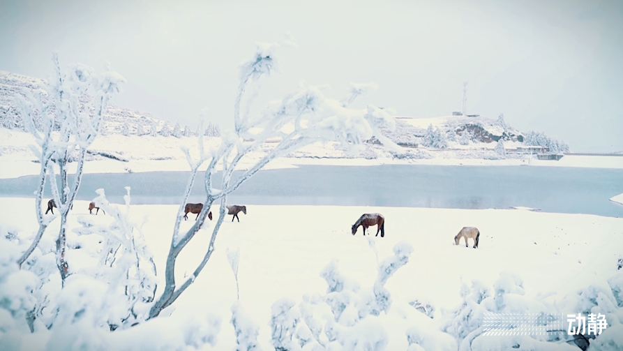 乌蒙大草原雪景图片