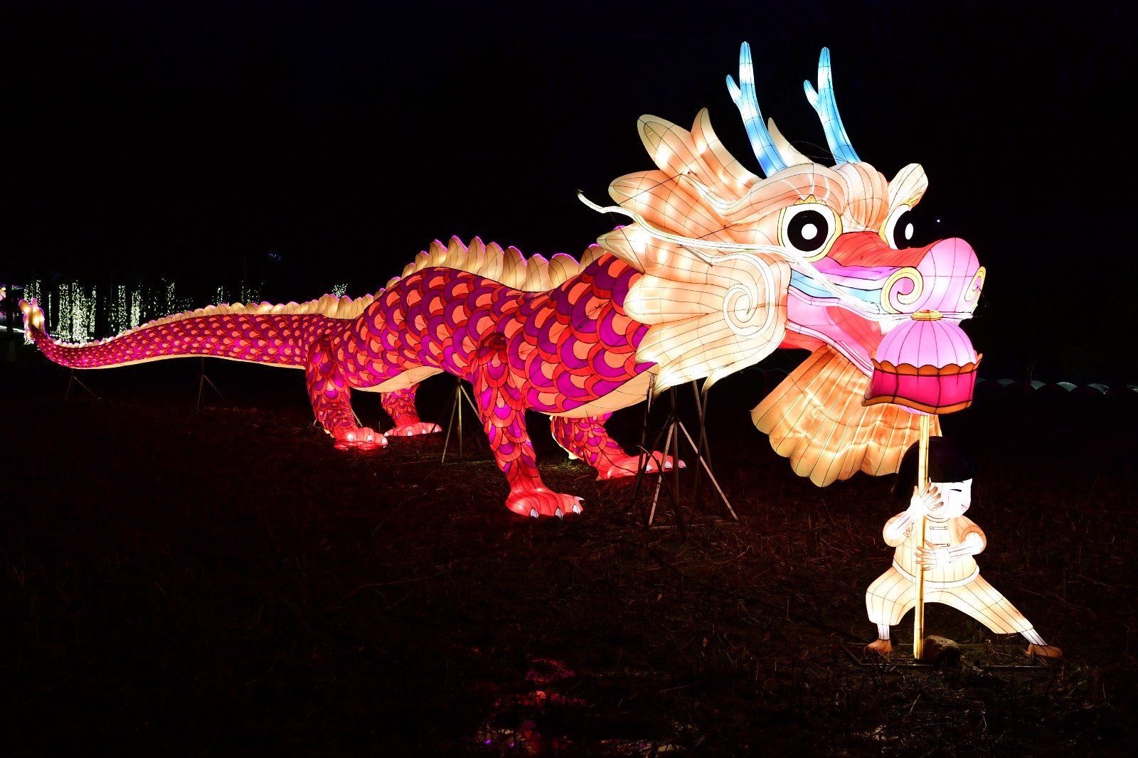 网络中国节春节2024贵阳观山湖灯会庙市璀璨亮灯