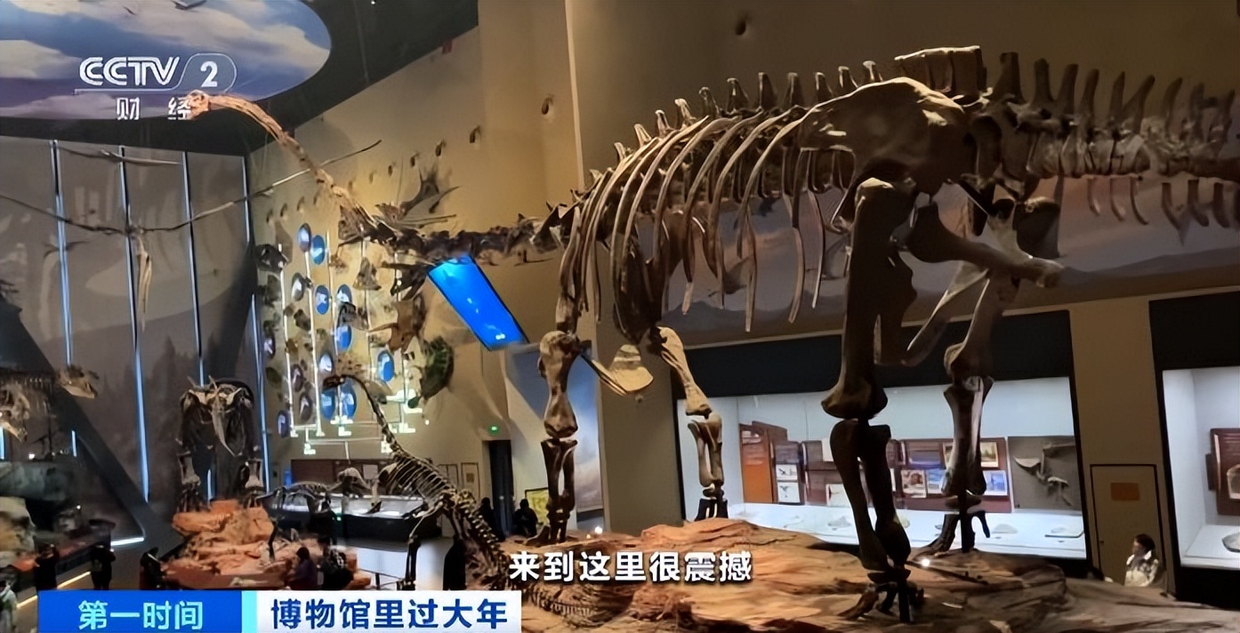 见证亿年生命演化中国古动物馆成寻龙热门打卡地