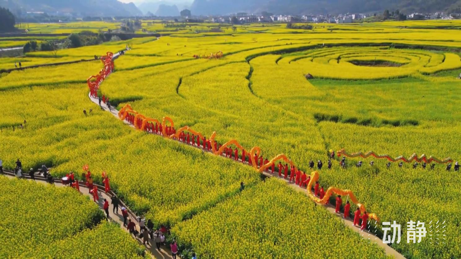 多彩贵州春之旅丨看山看水看人文黔西南州早春游市场火热