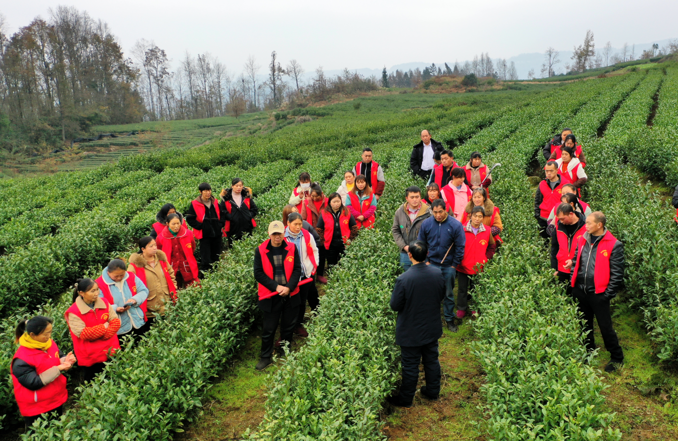 沿河农业技术培训为乡村振兴赋能