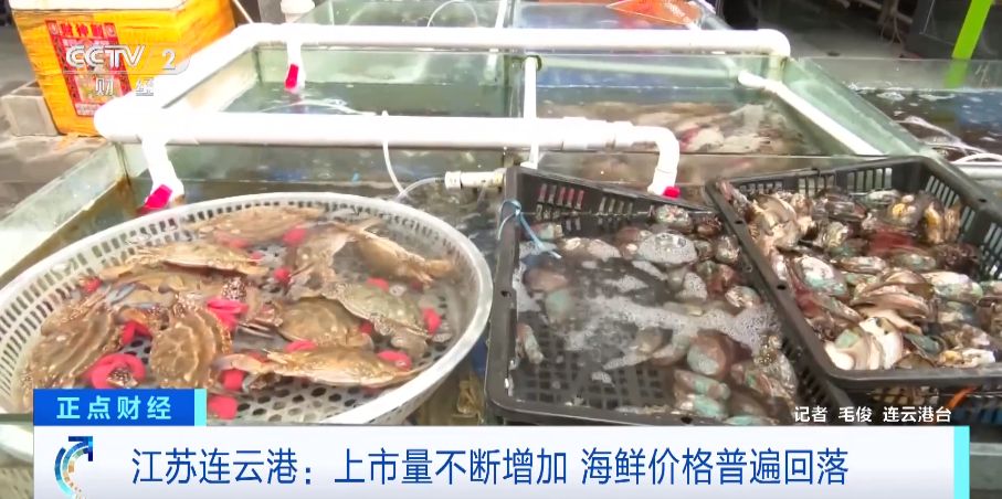 赣榆区海头镇的海鲜市场,梭子蟹,皮皮虾等海鲜品种一应俱全,批发价格