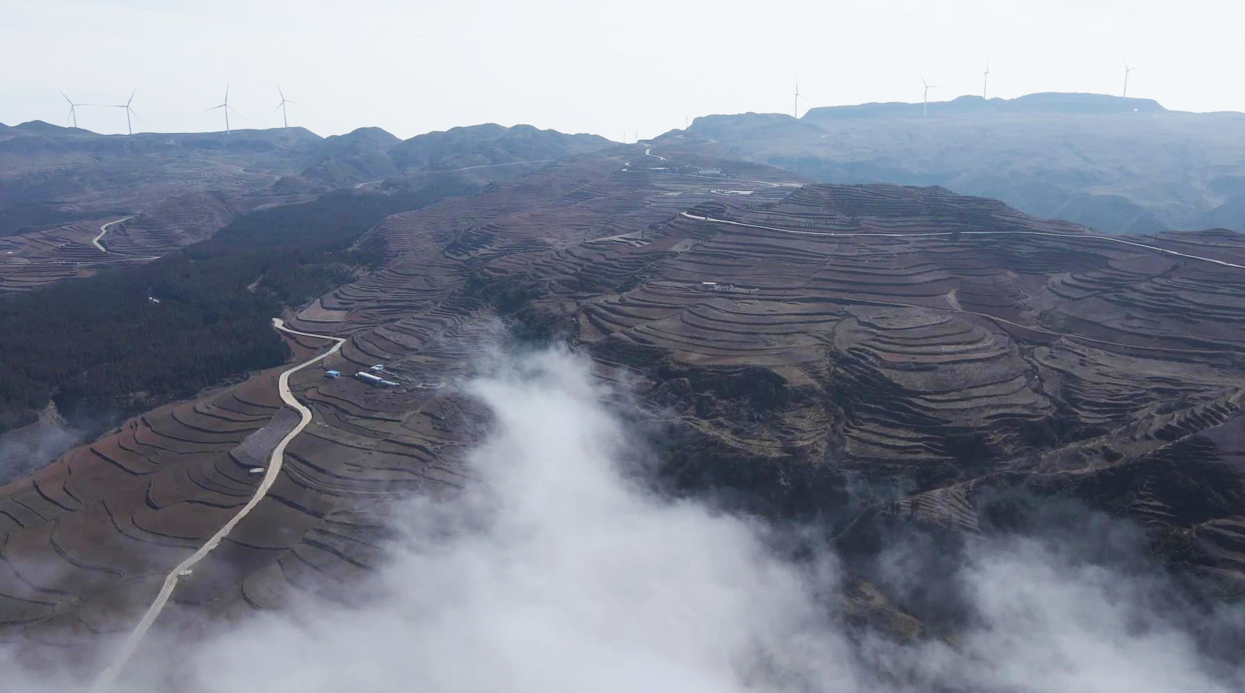 春耕正当时盘州市乌蒙镇万亩马铃薯播种忙