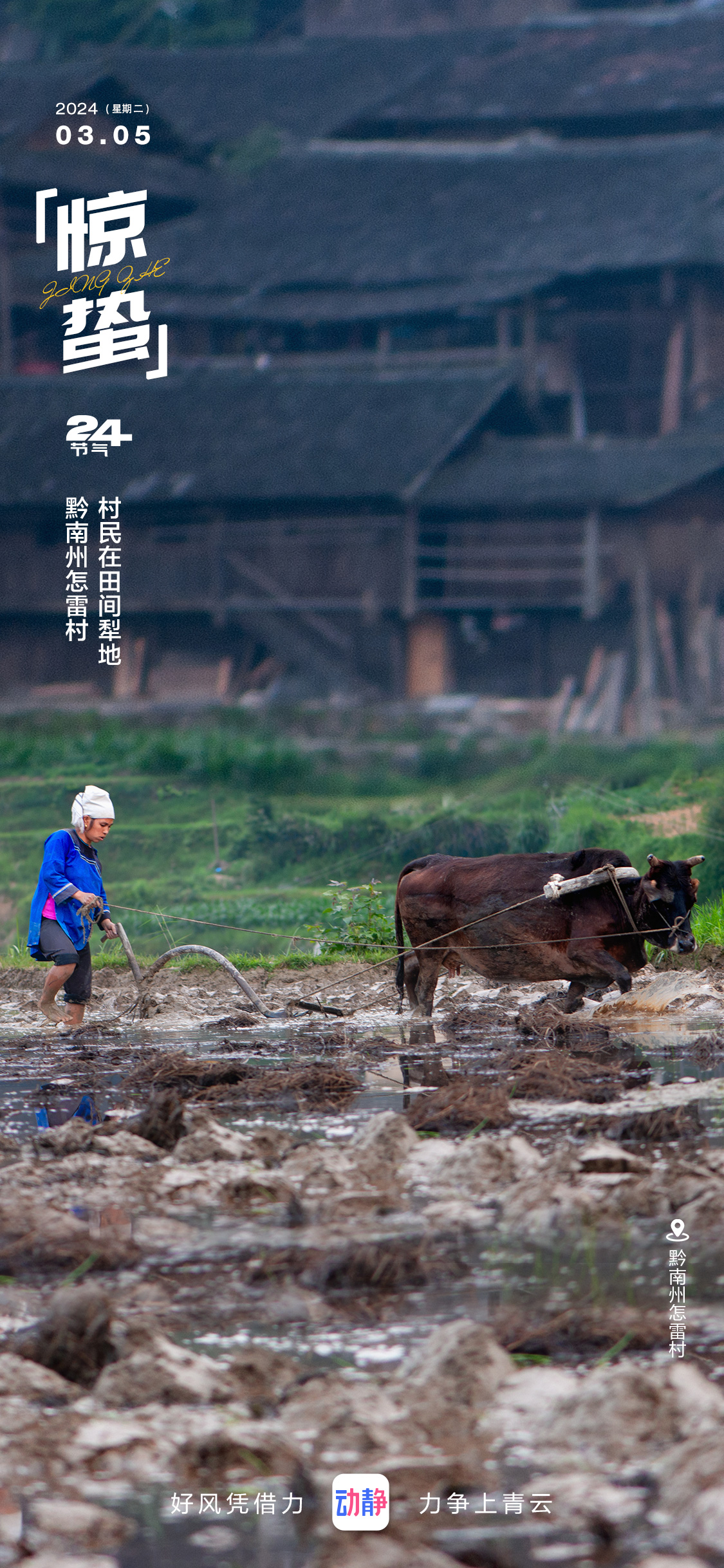 24节气看贵州今日惊蛰万物生长沐春意春耕大忙就此始