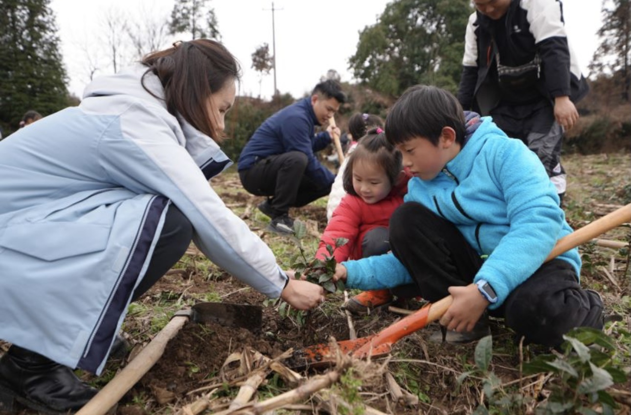 第46个植树节我们种古茶树去