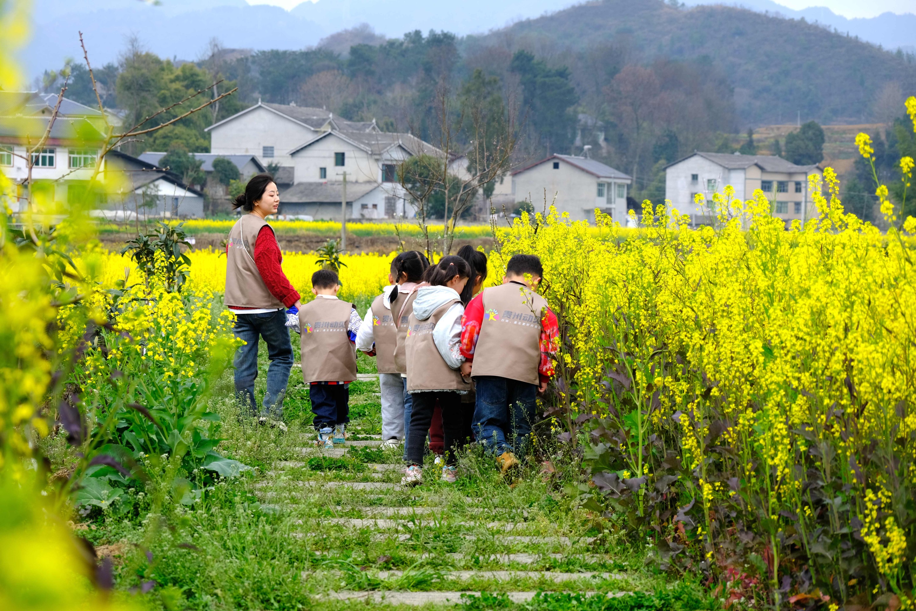 云谷田园研学图片