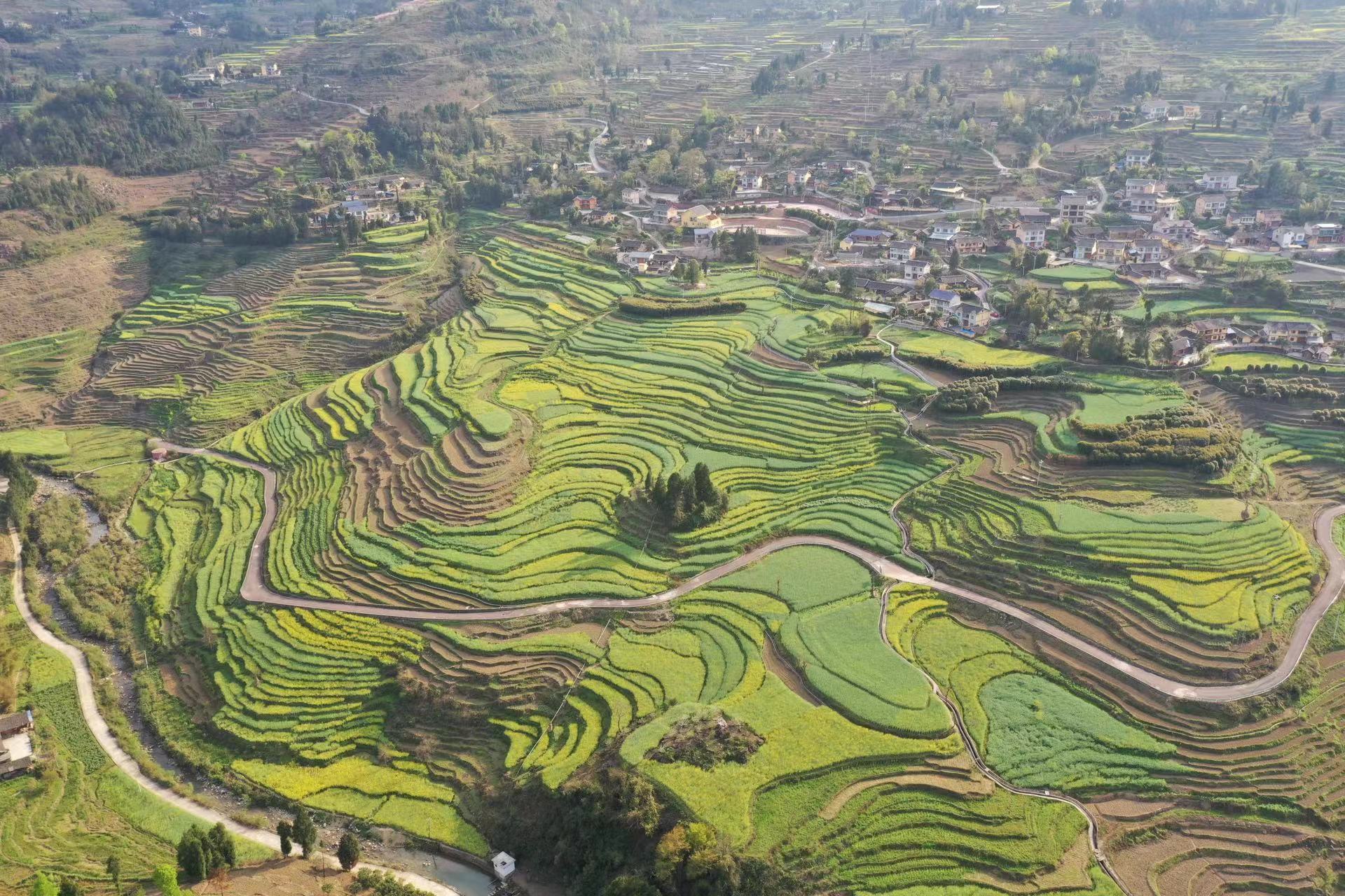 余庆沿着公路上春山