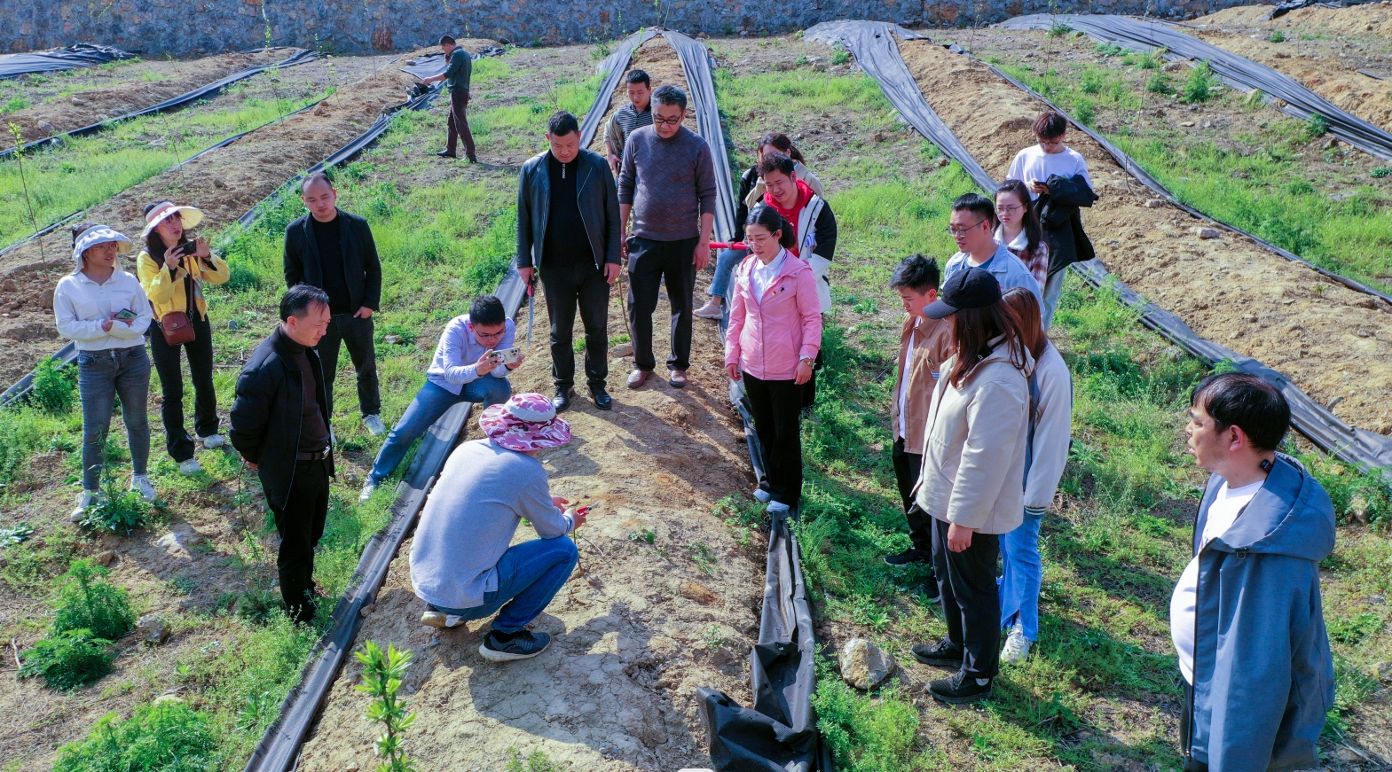 沿河农技培训进田间果树春管保增收