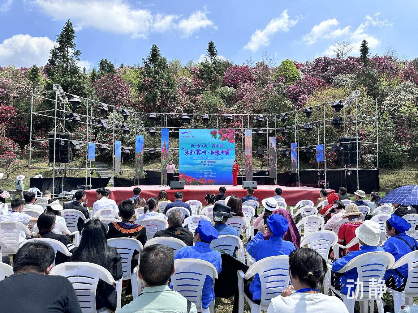 毕节网络推广 www.gzstv.com