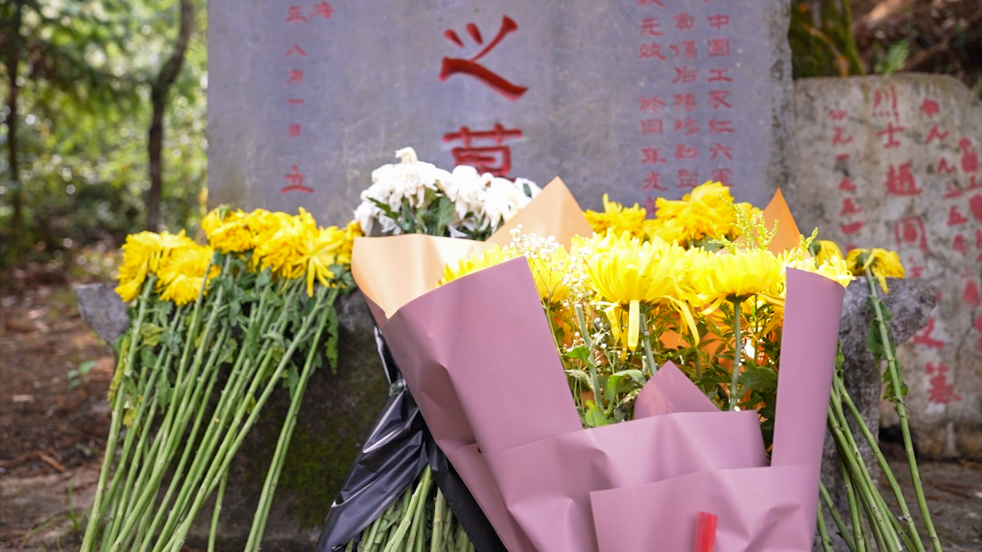 先祭英烈再拜祖宗邹家人的清明