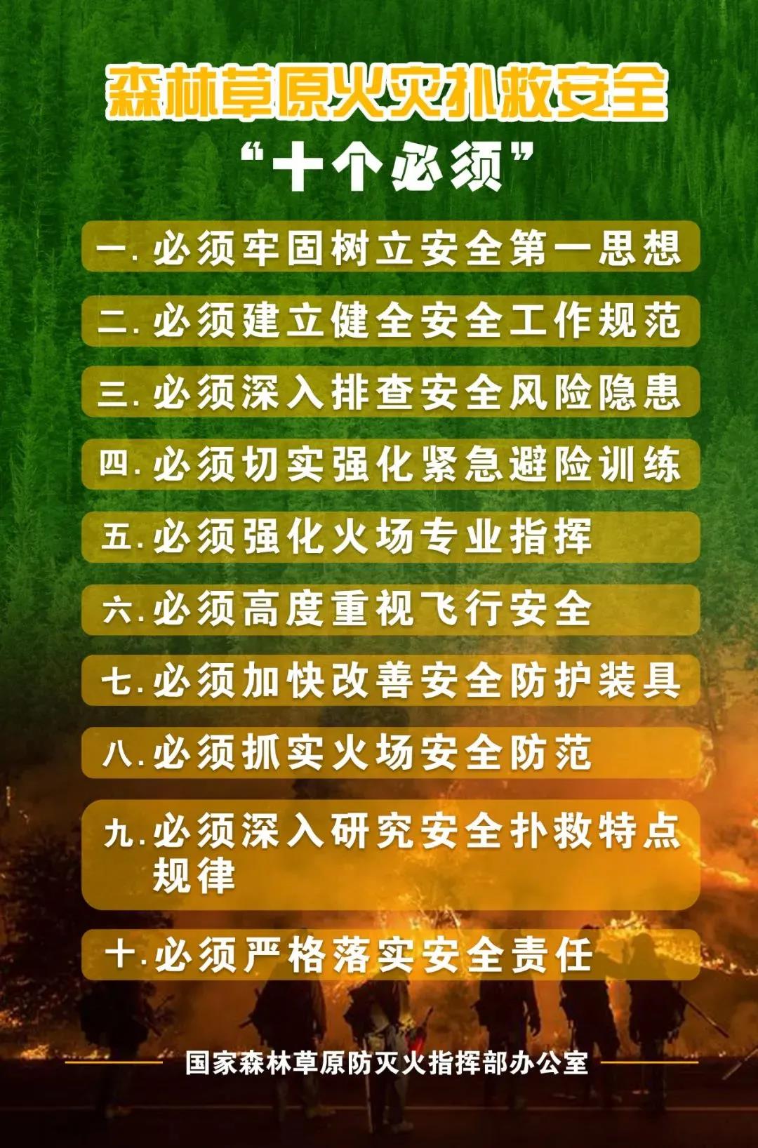 我们的节日清明谨记森林防火十个严禁十个必须三先四不打