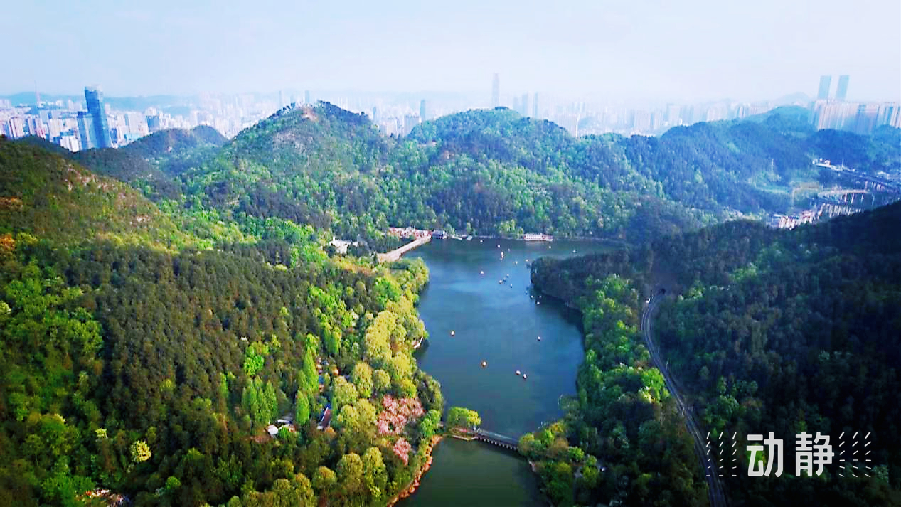 黔灵山公园景点图片