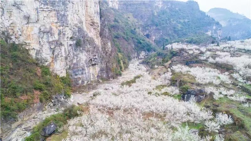 春游贵州春日游织金赴一场最美的约会