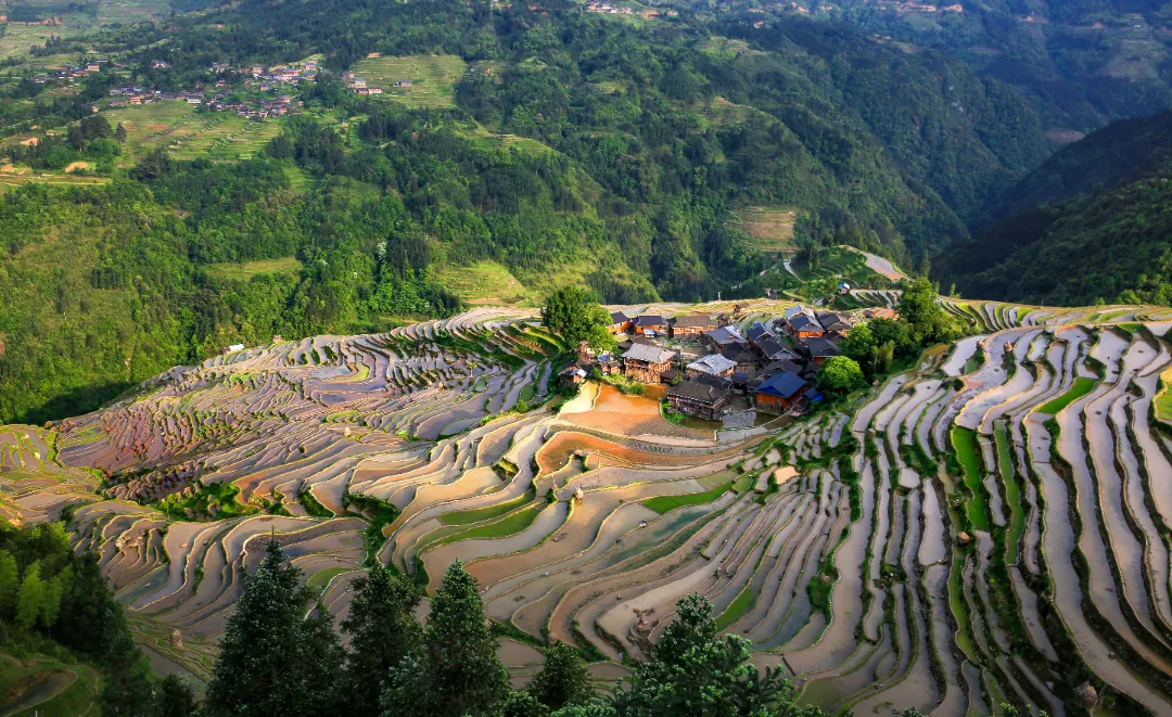 牛耕人耕船耕加榜梯田春耕画卷