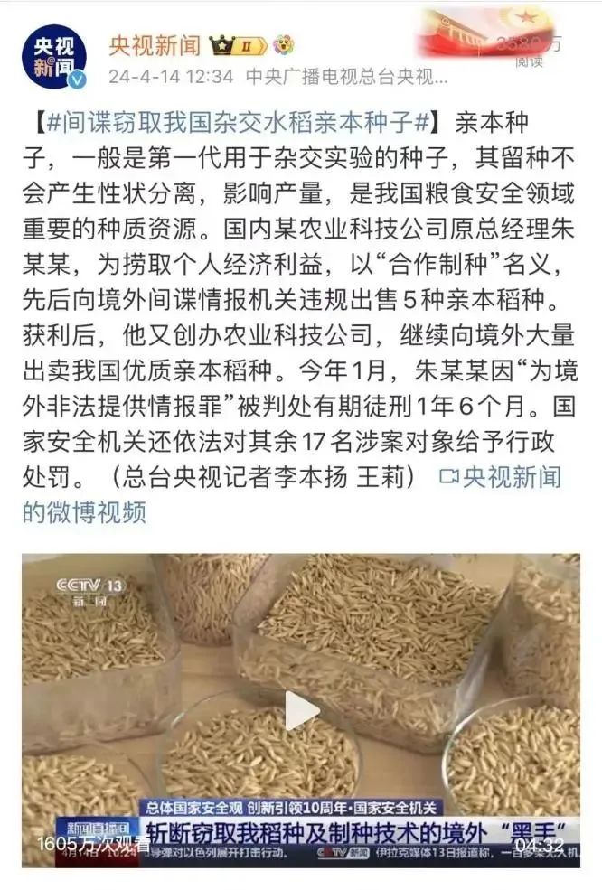 间谍窃取我国杂交水稻种子,后果有多严重?