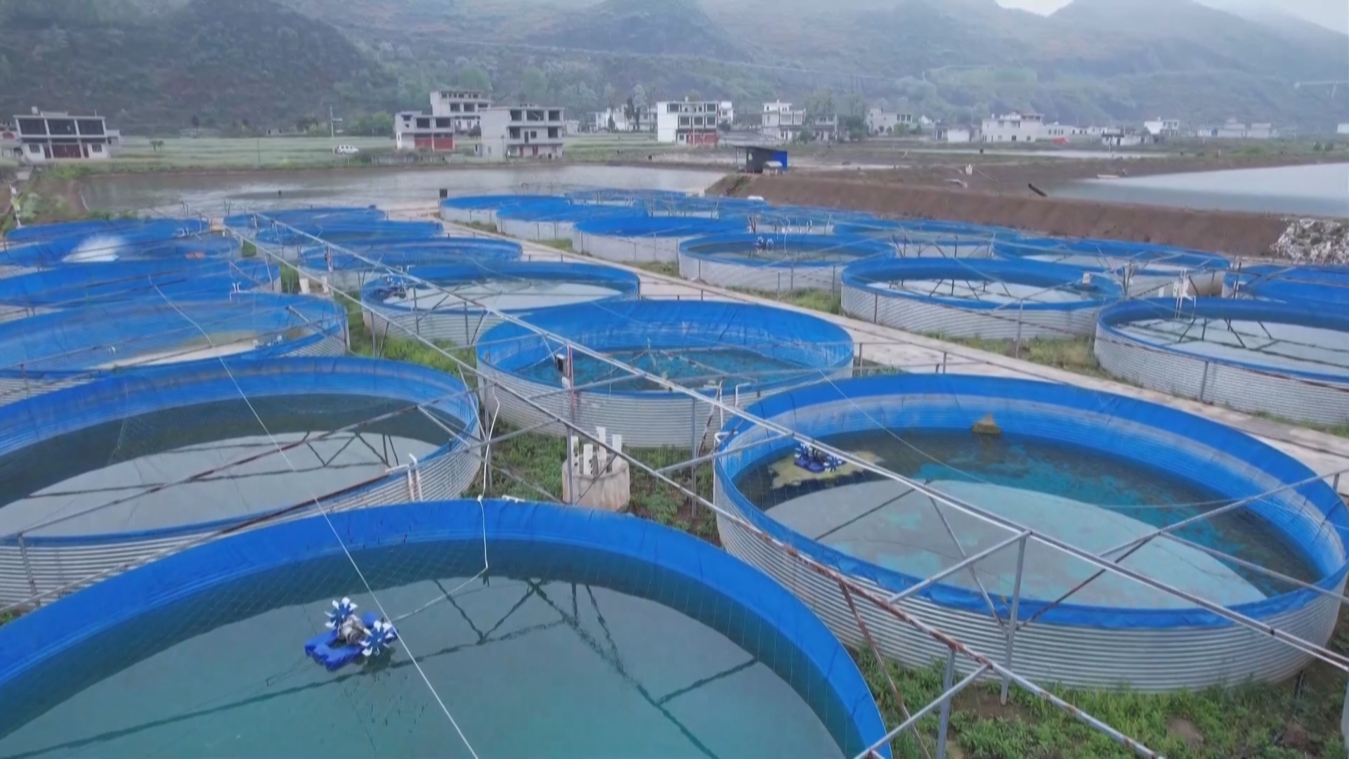 贵州新闻联播丨立足地方资源特点 六盘水打造特色渔业养殖