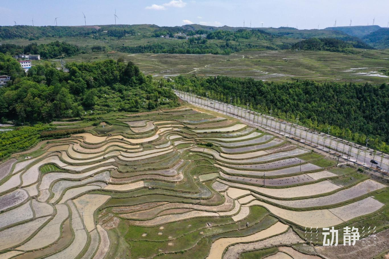 贵州龙里大新村梯田图片