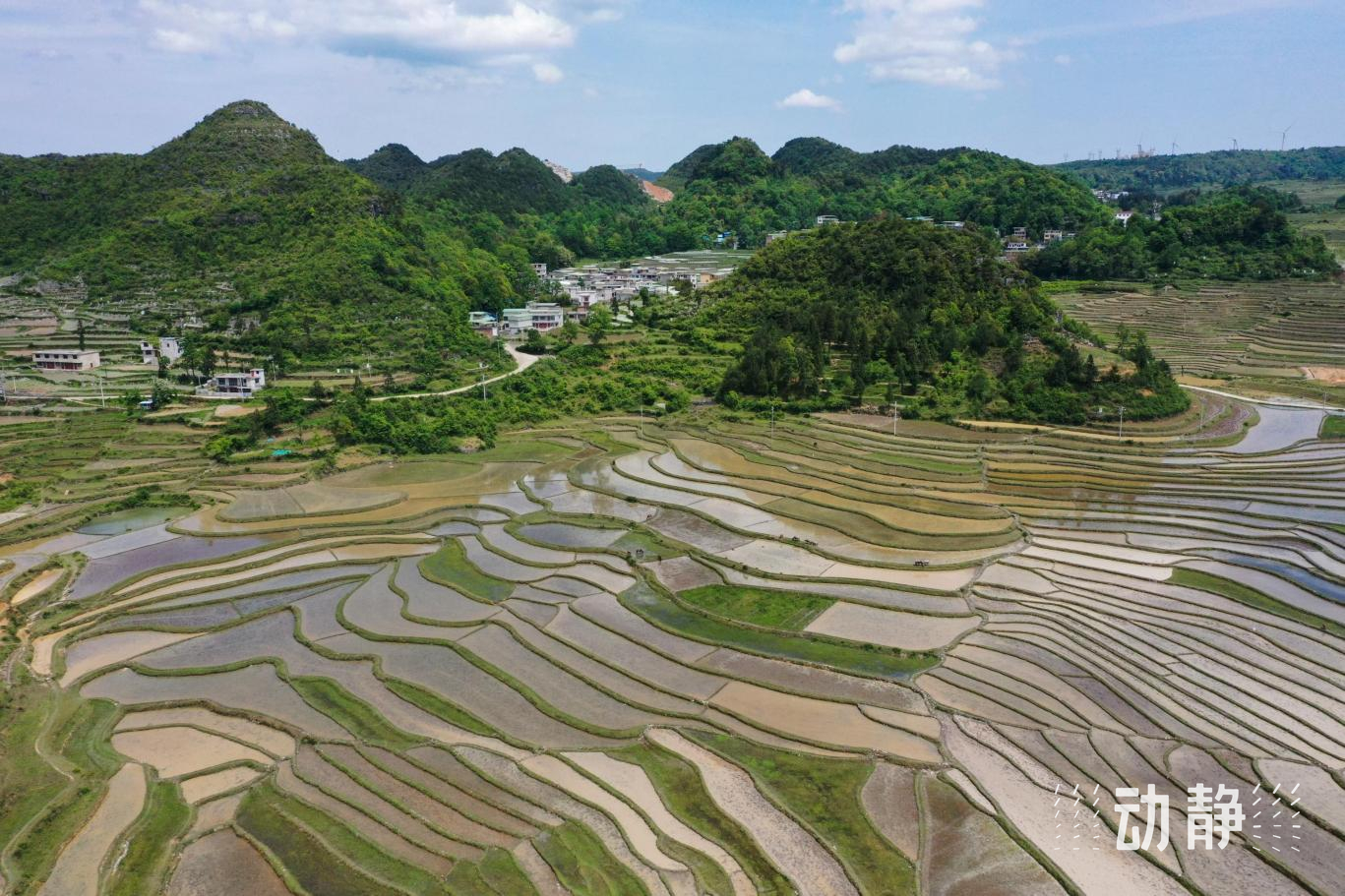 贵州龙里大新村梯田图片