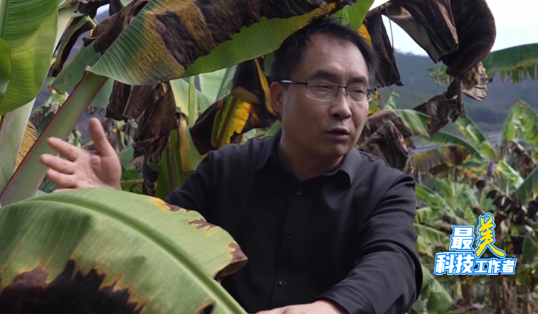 最美科技工作者丨 王顺勇:册亨县走出的"田秀才"