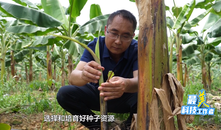 最美科技工作者丨 王顺勇:册亨县走出的"田秀才"