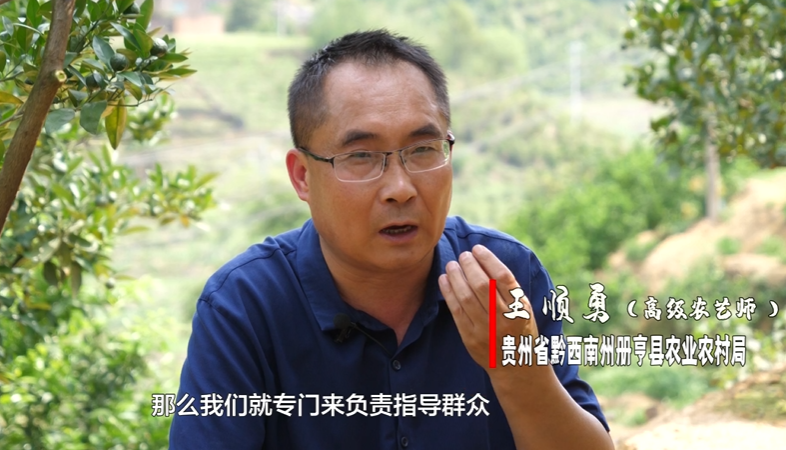 最美科技工作者丨 王顺勇:册亨县走出的"田秀才"