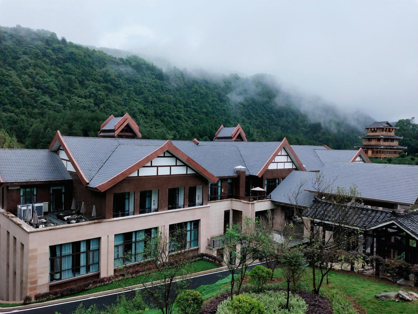 生态文明在贵州|凤冈县:四统一助力林下经济提质增效