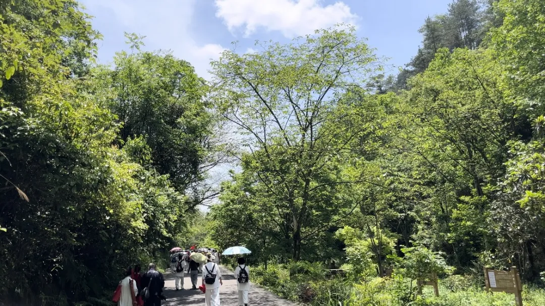 山景区(五指峰)>杉木河景区(中华第一漂)>白沙井(夜漂景区)1080_606