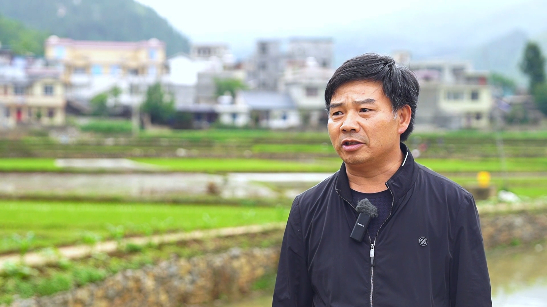 盘州市旧营乡:端午种下红稻苗,群众增收有盼头