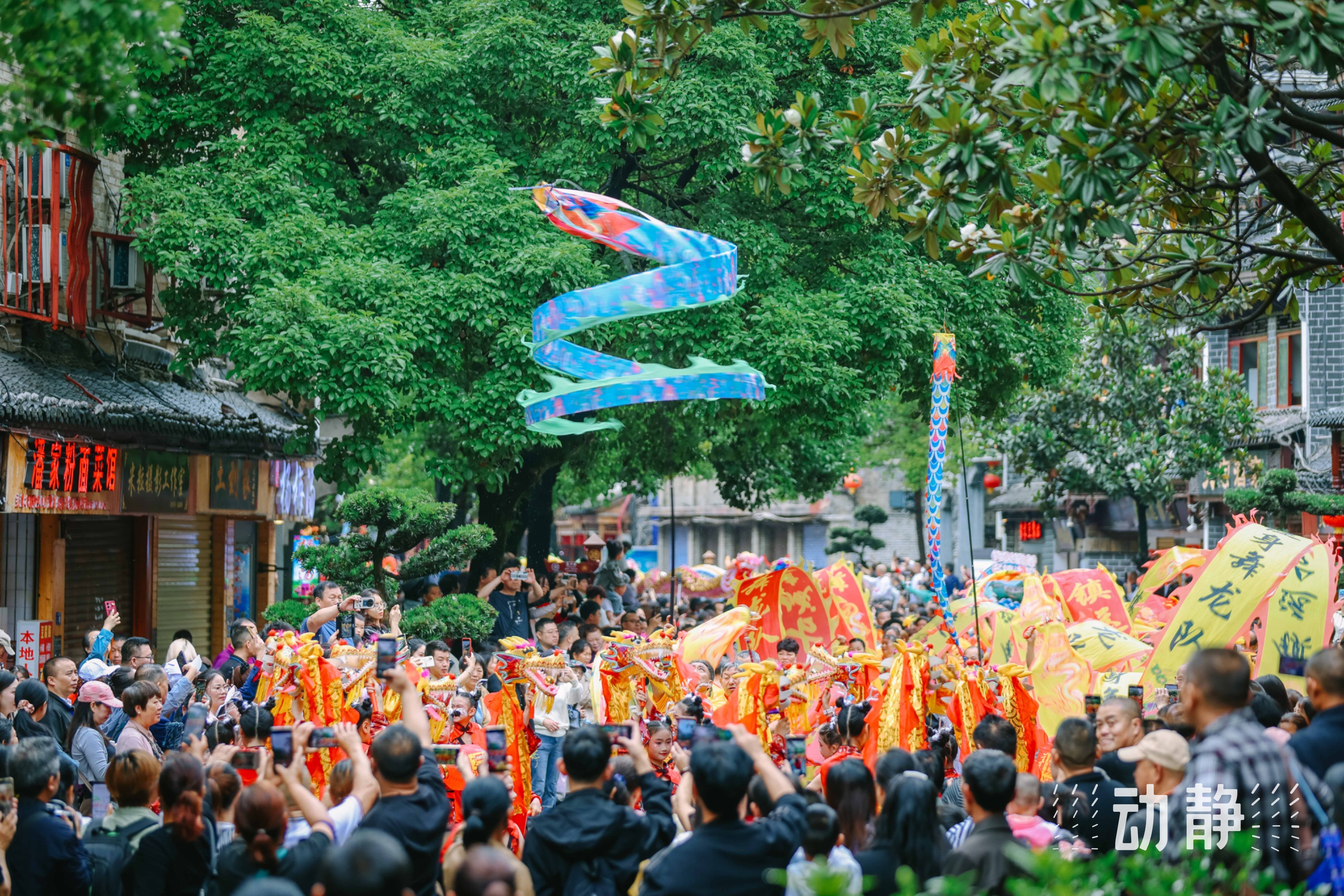 网络中国节·端午丨龙年端午,来看龙游镇远名场面