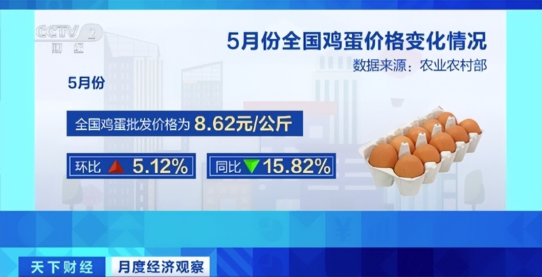 鸡蛋贵了!5月全国鸡蛋价格环比涨超5%