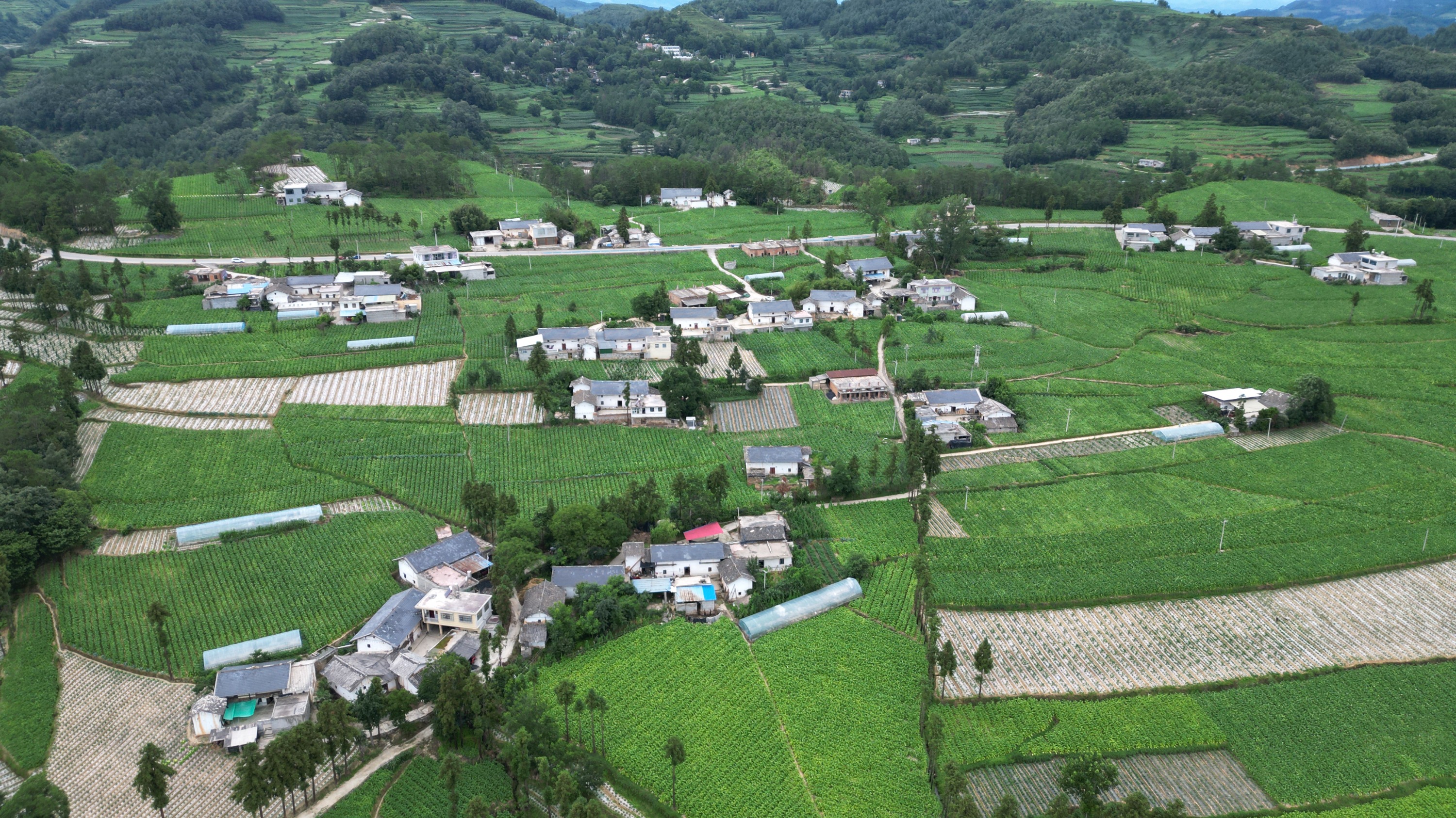 北京绿叶子超市总部图片