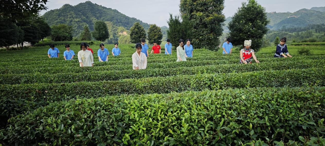 骆象村是江口县打造万亩茶园带的重点村,也是铜仁市唯一