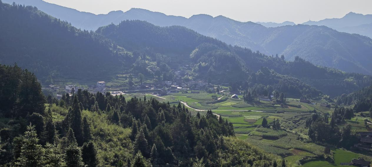 镇,属于高山丘陵地带,常年高山云雾缭绕,海拔适宜,土质良好,风景宜人