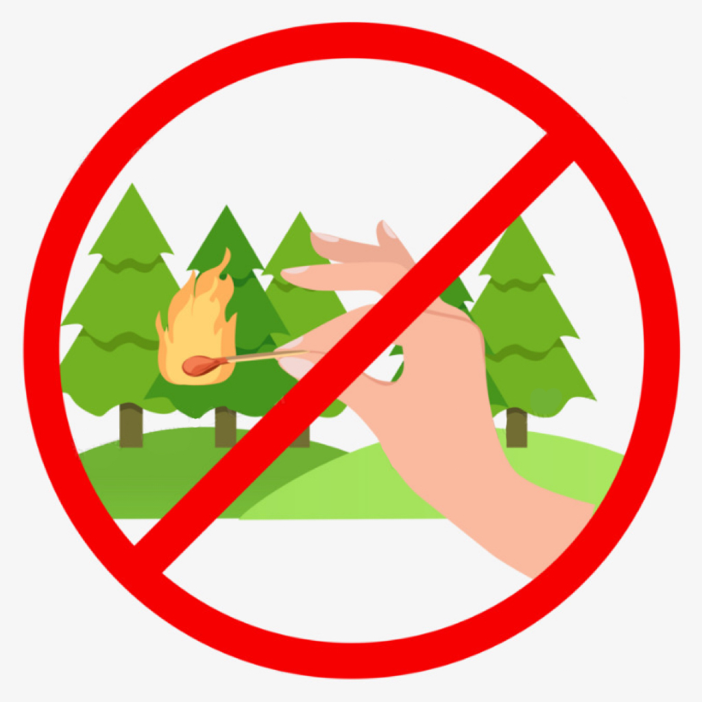 禁止在林区内进行炼山,烧荒,烧田埂草,堆烧等可能引发火灾的行