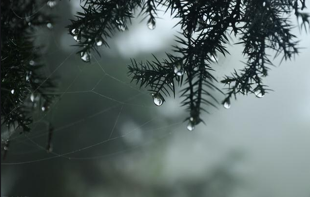 雨水暂停，转为多云，夏天的贵州有点“凉”……