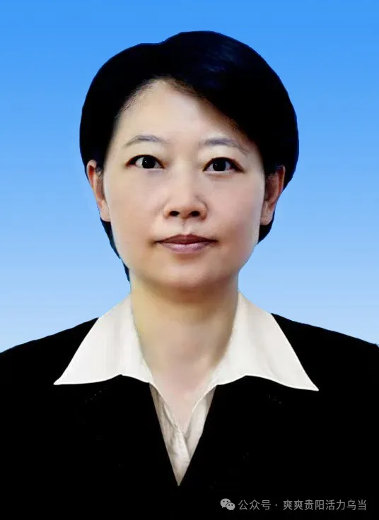 陈丽当选乌当区人民政府区长