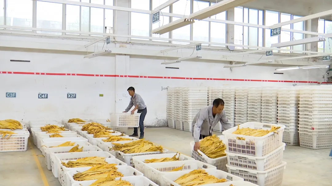 烟草零售许可证申请新变化