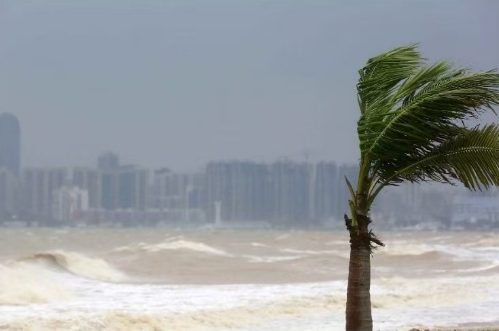 台风“潭美”将趋向我国南海 海南将迎强风雨天气