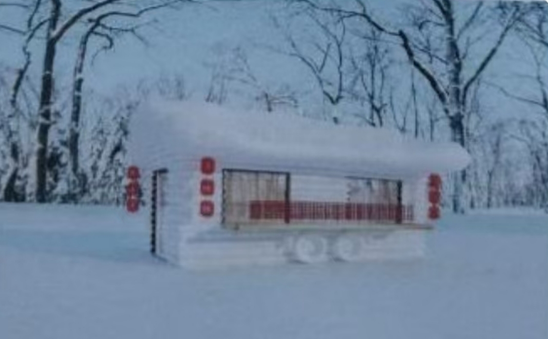 今年哈尔滨冰雪大世界糖葫芦售卖点位起拍价100万元？拍卖公司回应