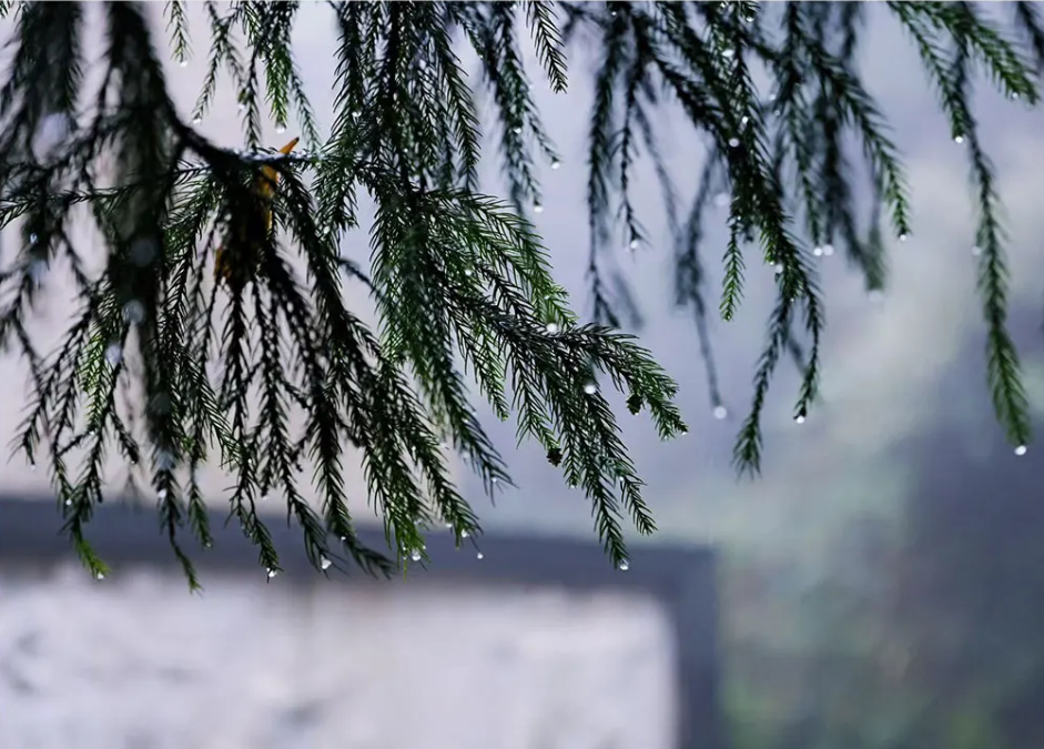 晚安｜给自己时间，不要焦急，一步一步来，一日一日过