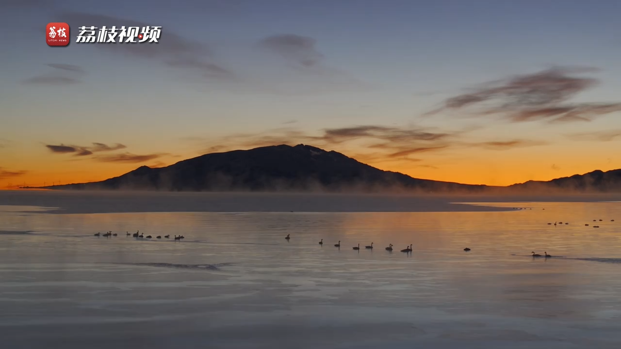 梦幻浪漫！新疆赛里木湖天鹅伴日出美不胜收
