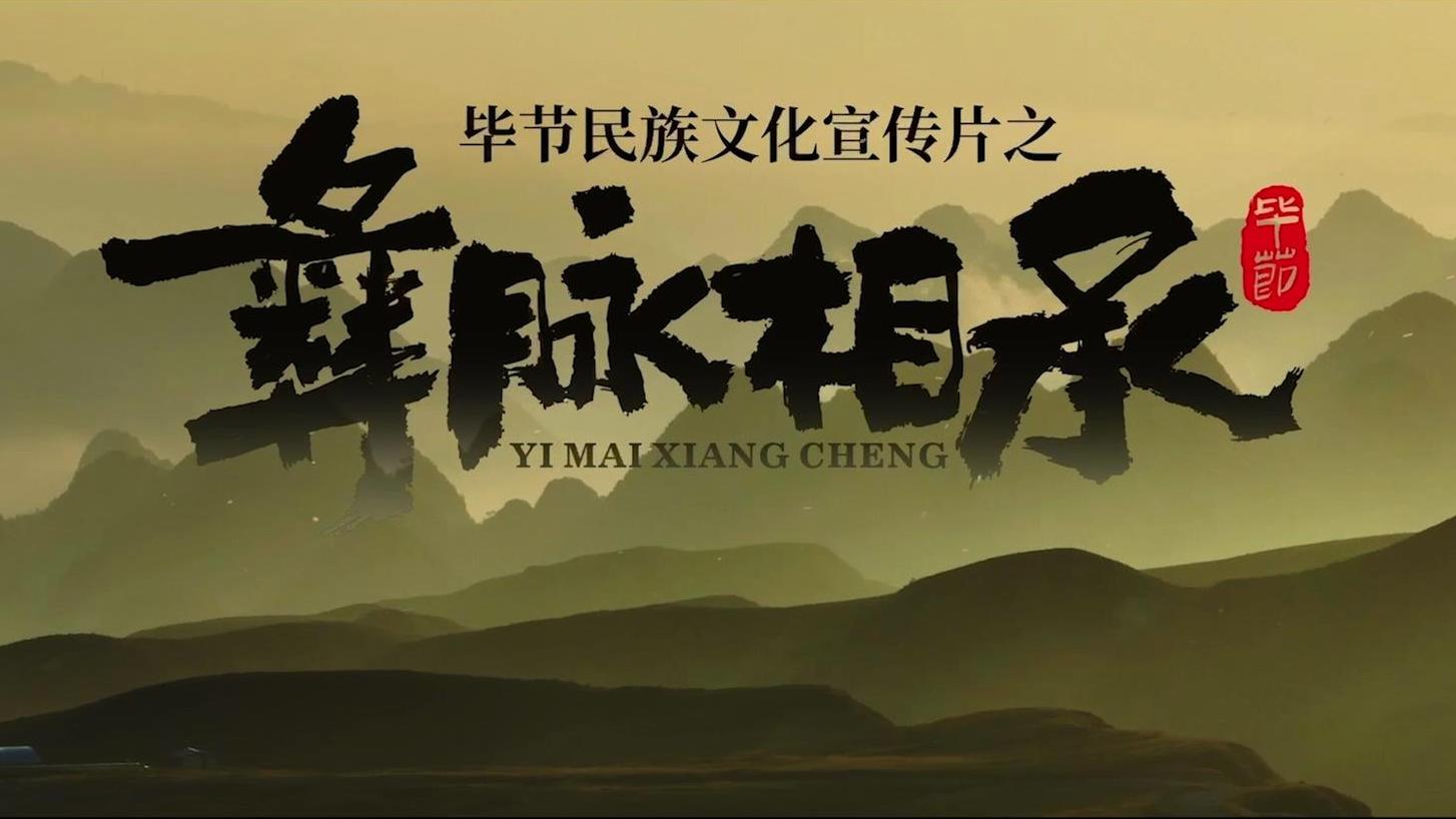 《毕节彝族文化宣传片》丨贵州省第二届社会主义核心价值观主题微电影（微视频）征集展示活动作品