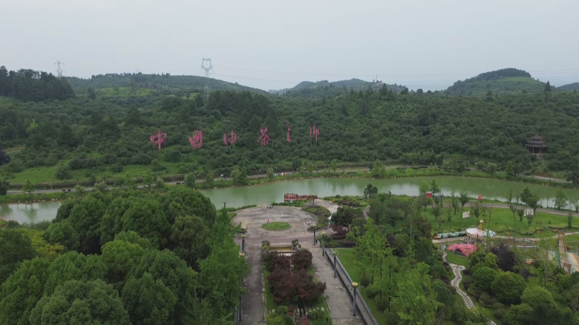贵州新闻联播丨【强县富民调研行】“中国油茶之乡”以科技破局 焕新产业发展